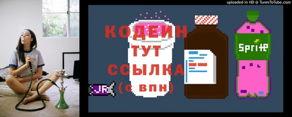 ГАЛЛЮЦИНОГЕННЫЕ ГРИБЫ Коряжма