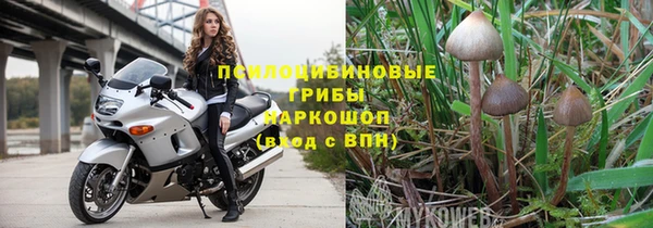 ГАЛЛЮЦИНОГЕННЫЕ ГРИБЫ Коряжма