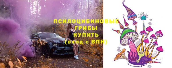 ГАЛЛЮЦИНОГЕННЫЕ ГРИБЫ Коряжма