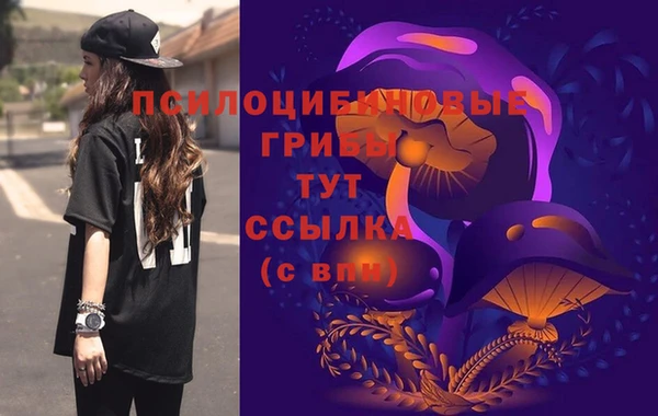 тгк Краснослободск
