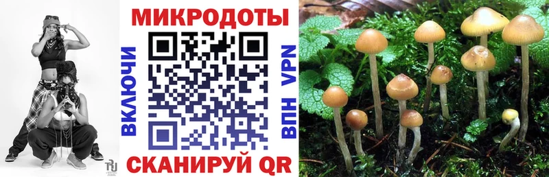 Псилоцибиновые грибы прущие грибы ссылка на мегу зеркало Стародуб